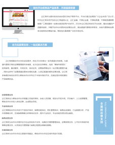 專業(yè)網(wǎng)站建設(shè)代理服務(wù) 一站式解決方案賦能企業(yè)數(shù)字化轉(zhuǎn)型